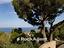 Immagine 9
