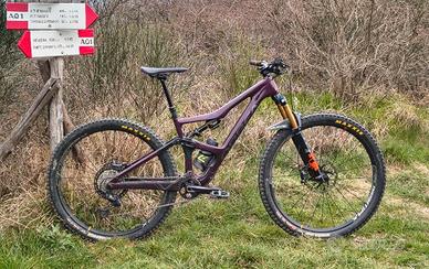Mtb Orbea occam carbonio