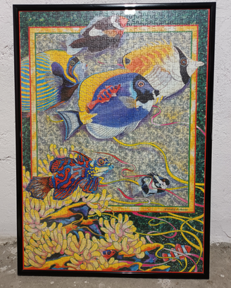 Puzzle incorniciato pesci tropicali