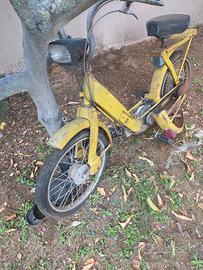motorino "Ciao"