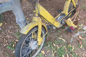 motorino "Ciao"