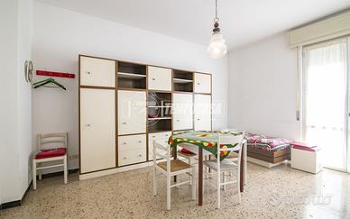 Appartamento a Cassano d'Adda 1 locali