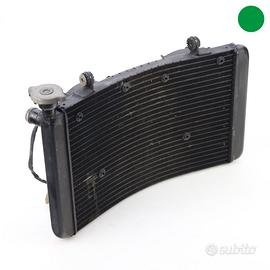 Radiatore acqua BENELLI TNT 899