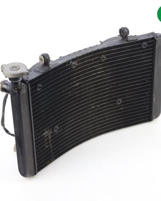 Radiatore acqua BENELLI TNT 899