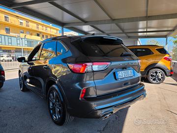 Ford Kuga 1.5 EcoBlue 120 CV 2WD ST-Line X