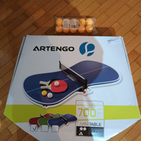 Ping pong da tavolo