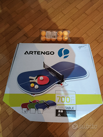 Ping pong da tavolo