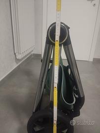 trio unique kangaroo 