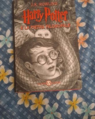 Libro Harry Potter e la pietra filosofale 