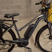 bici elettrica 