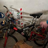 Tre biciclette come da foto