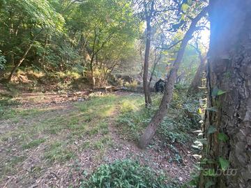 Terreno di 6000 m² a Albenga