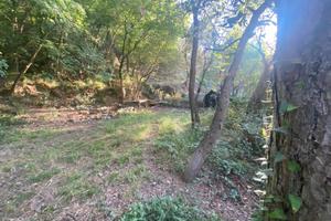 Terreno di 6000 m² a Albenga