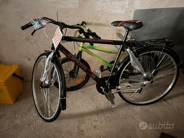 Esperia city bike