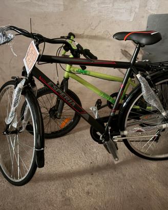 Esperia city bike