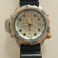 Citizen Aqualand Promaster