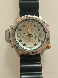 Citizen Aqualand Promaster