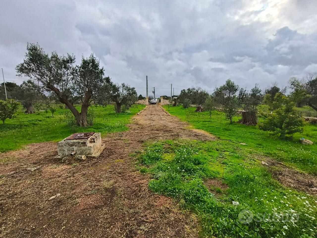 Terreno edificabile a Sannicola - Vista 4