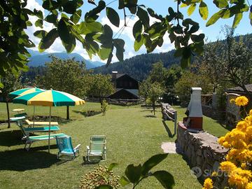18 LUG_01 AGO CASA con GIARDINO 7/8p Valdifiemme