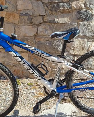 Bicicletta