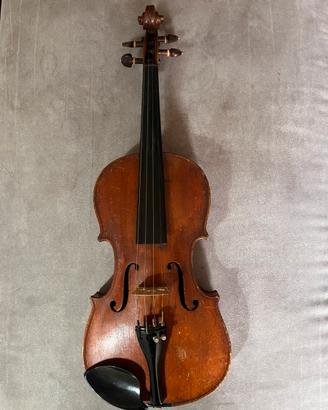 Violino