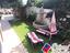 Immagine 29