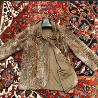 RICERCATAeICONICApellicciaASTRAKANmieleNOCCIOLA