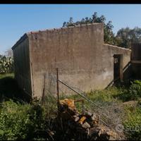 Rudere con giardino Campanedda