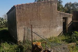 Rudere con giardino Campanedda