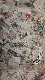 francobolli Italia usati 25 kg