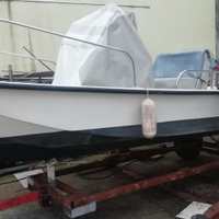 Boston whaler 17