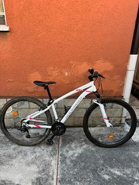 Bicicletta donna