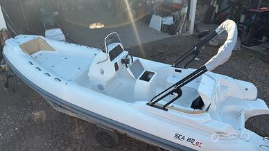SEA 22 GT WHITE CARBON & HONDA 150 SPORT WHITE