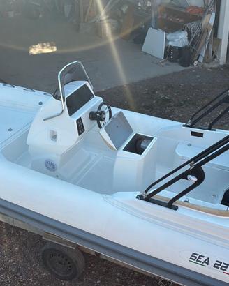 SEA 22 GT WHITE CARBON & HONDA 150 SPORT WHITE
