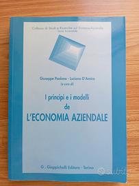 i principi e i modelli de l'economia aziendale 