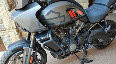 HD panamerica 1250 special 