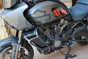 HD panamerica 1250 special 