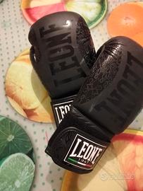 guantoni da boxe 