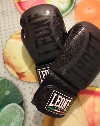 guantoni da boxe 