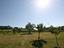 Immagine 28