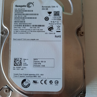 Hard disk Sata 250 Gb