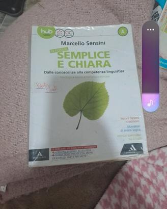 grammatica sempliche e chiara
