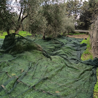 2 ettari di seminativo
