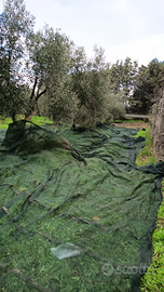 2 ettari di seminativo