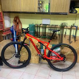 Mtb specialized