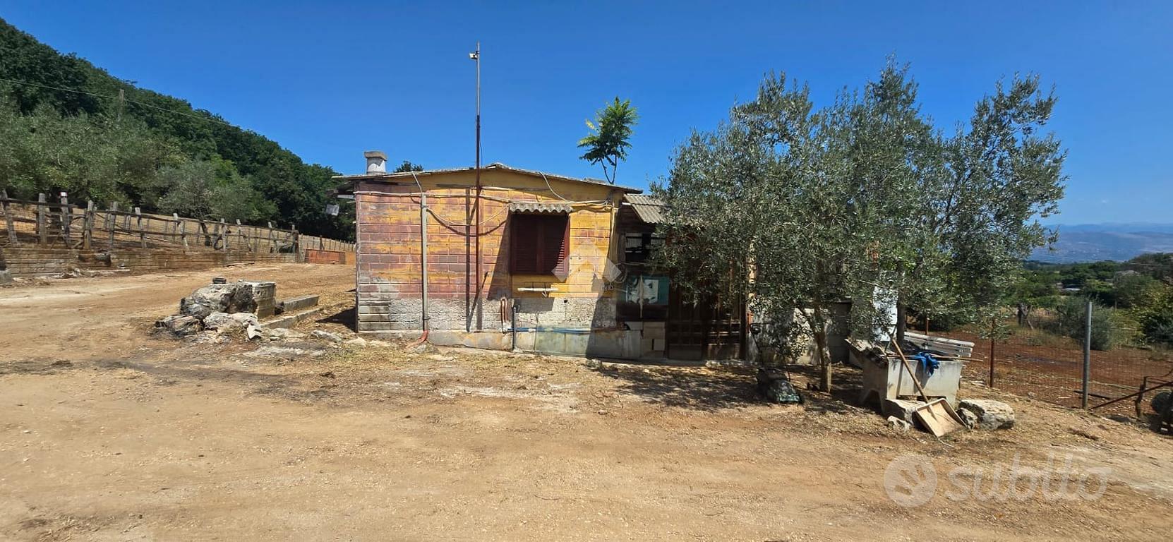 TER. AGRICOLO A SEGNI - Vista 3