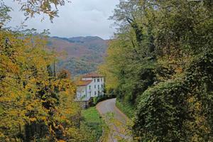 Portfolio Immobiliare Toscana: Rendita Firenze + B