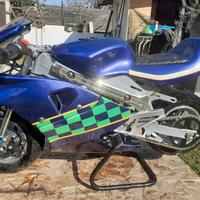Mini Moto