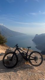 Canyon spectral 29