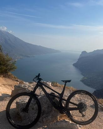 Canyon spectral 29